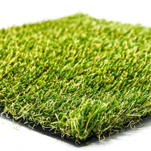 Sonoran oasis performance blade grass