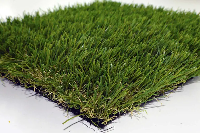 summer breeze pro performance blade grass