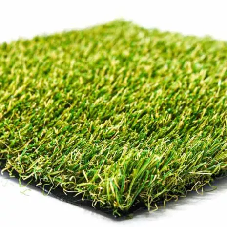 Sonoran Oasis Artificial Grass Masters