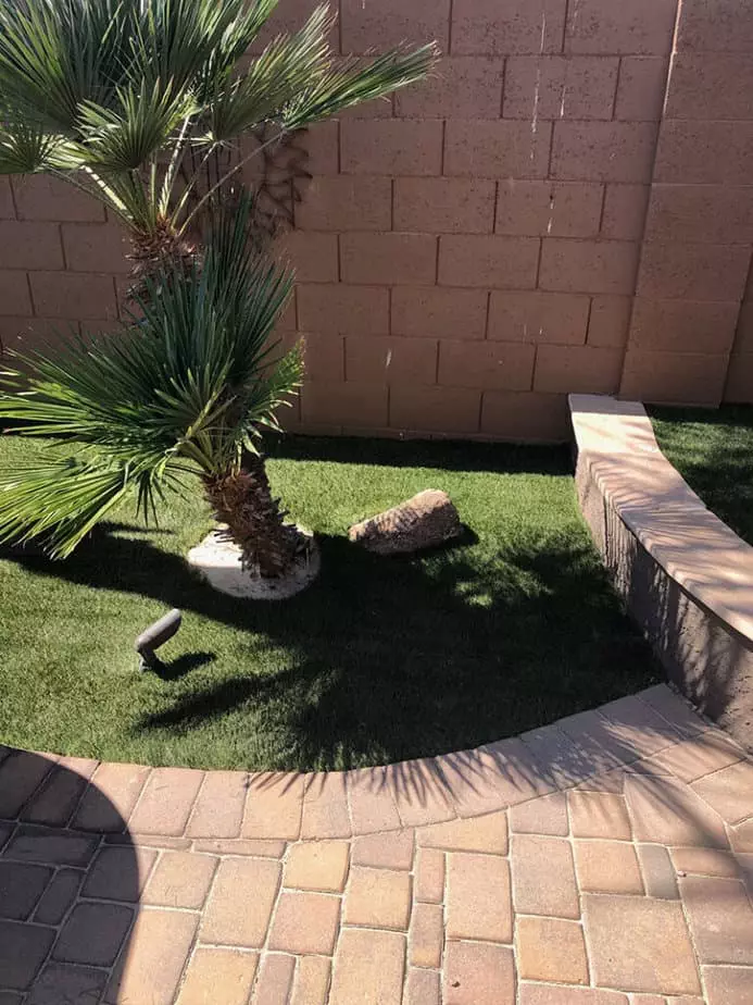 top rated whole sale turf companies near me