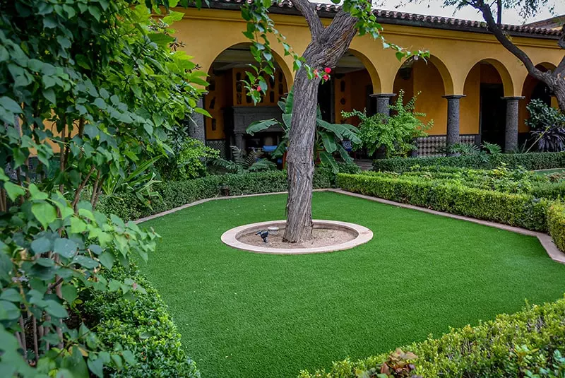 luxury backyards of Arizona