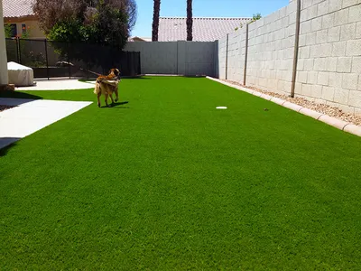 Backyard dog run of synthetic turf