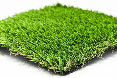 zacate Verde performance blade grass