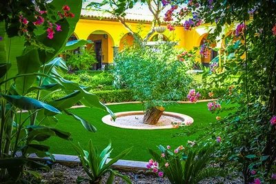 Artificial grass masters install in paradise valley