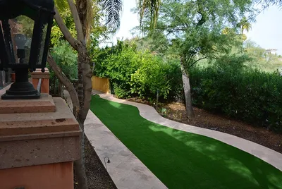 best looking grass for looks