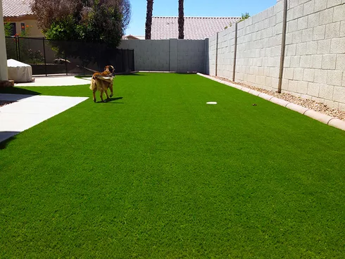 Backyard dog run of synthetic turf