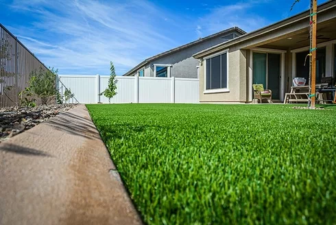 Close up of performance blade grass